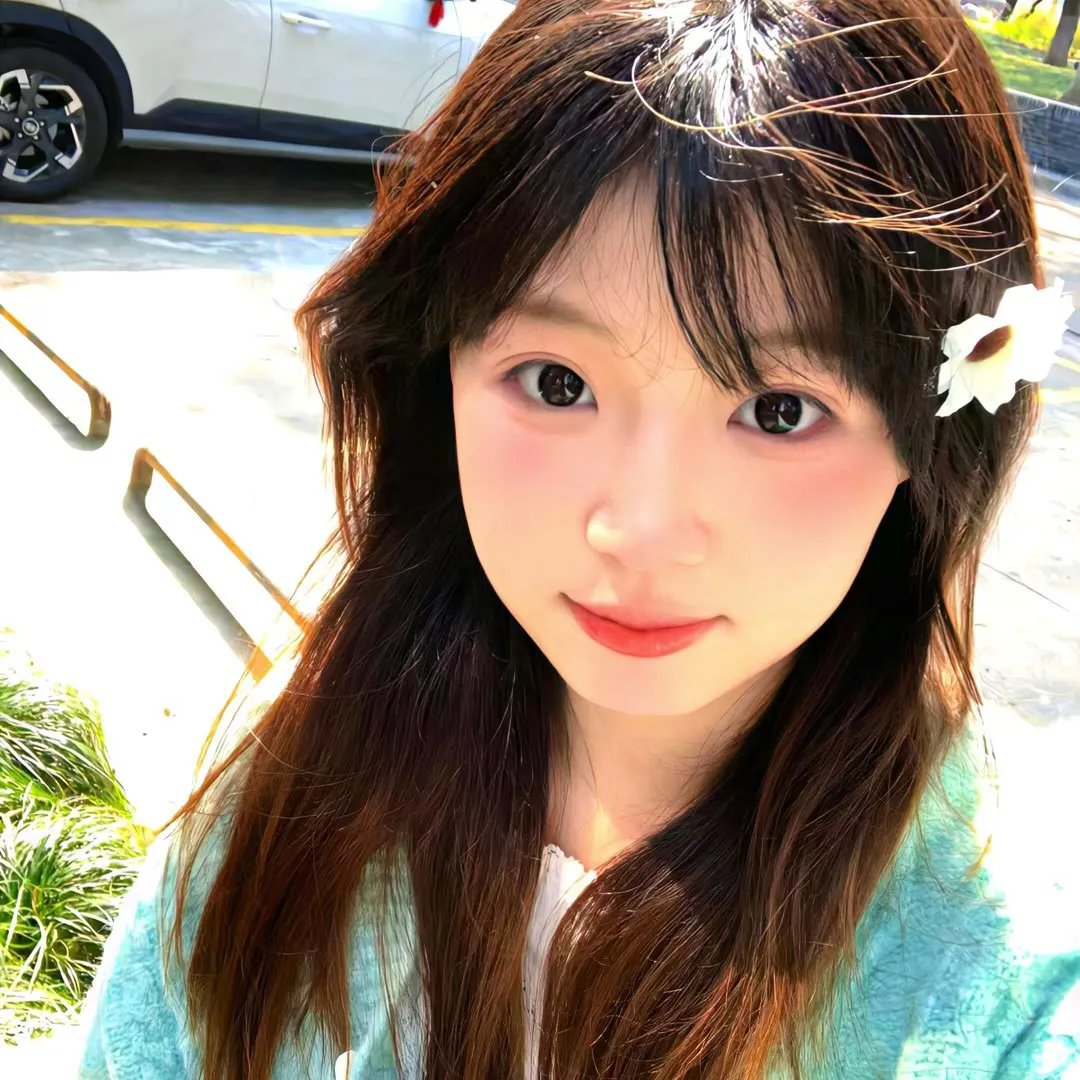 宝琳历险记